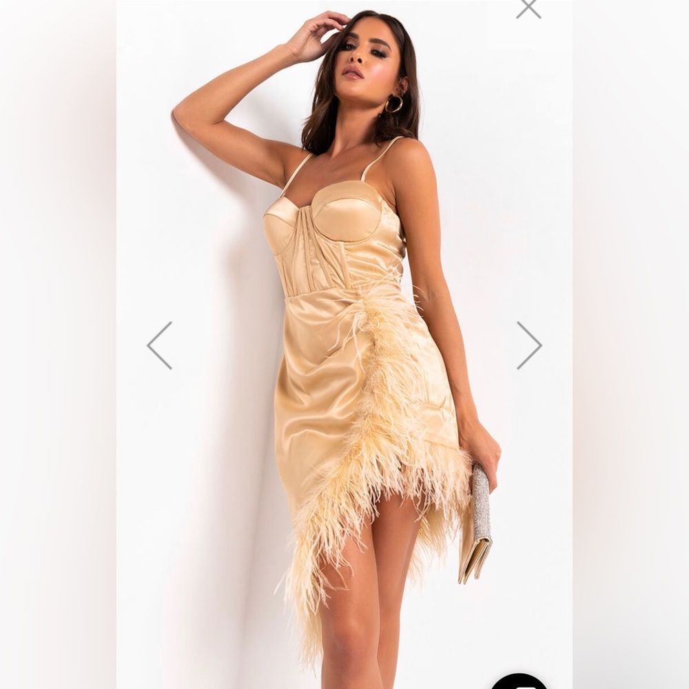 Corset Mini Dress with Feather Fringe